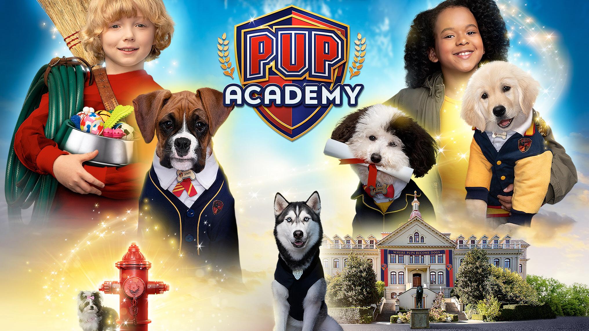 whiz pup academy