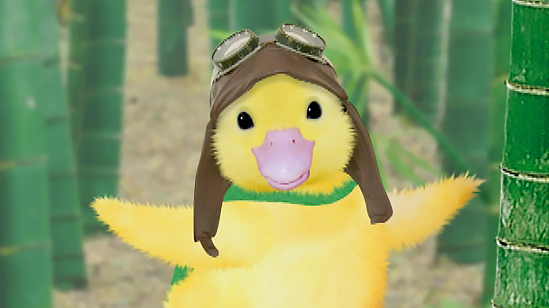 the wonder pets save duckling